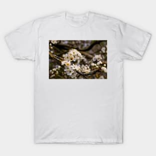 Springtime blossom T-Shirt